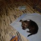 jugando con mi pie!